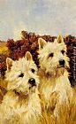 Jacque and Jean, Champion Westhighland White Terriers